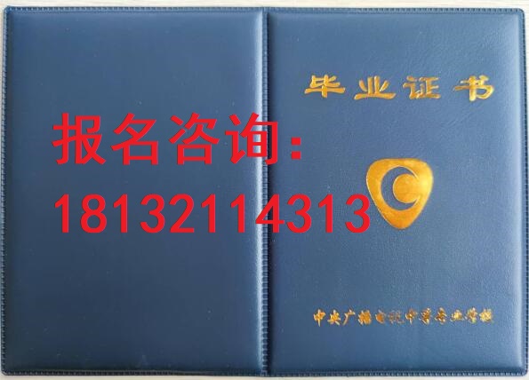 電大中?？荚囋趺崔k