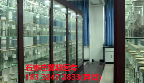 中專中藥專業(yè)能考哪些證書？