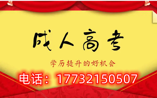 干貨！備考必讀，成考不踩雷！