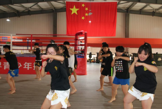 石家莊開設(shè)體育專業(yè)、武術(shù)專業(yè)的學校